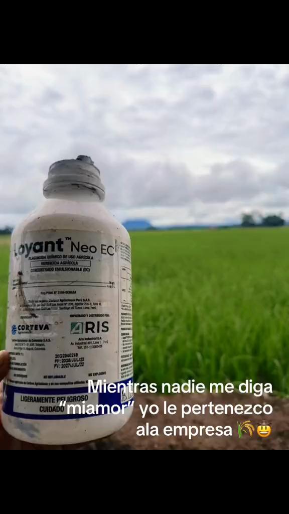 @Alejandro