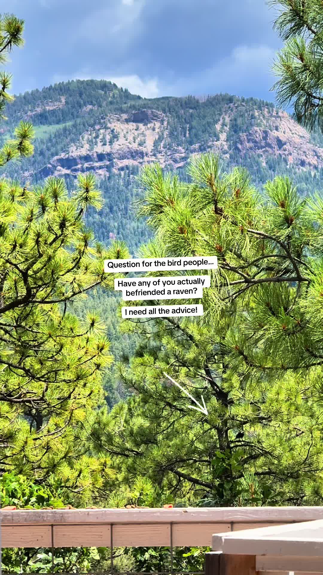 @Jasmin | A Rooted Life