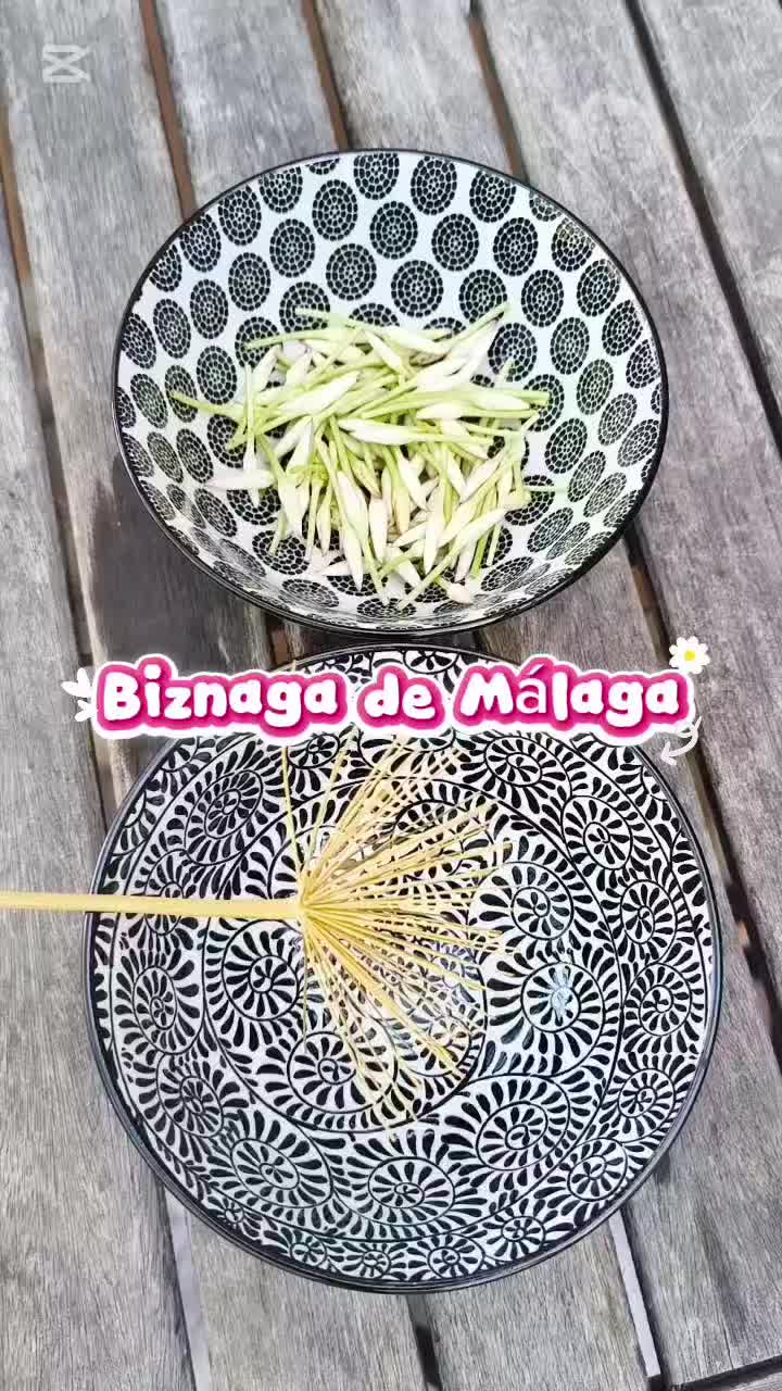 @๐ด๐ P๐๐๐๐๐๐๐๐๐๐