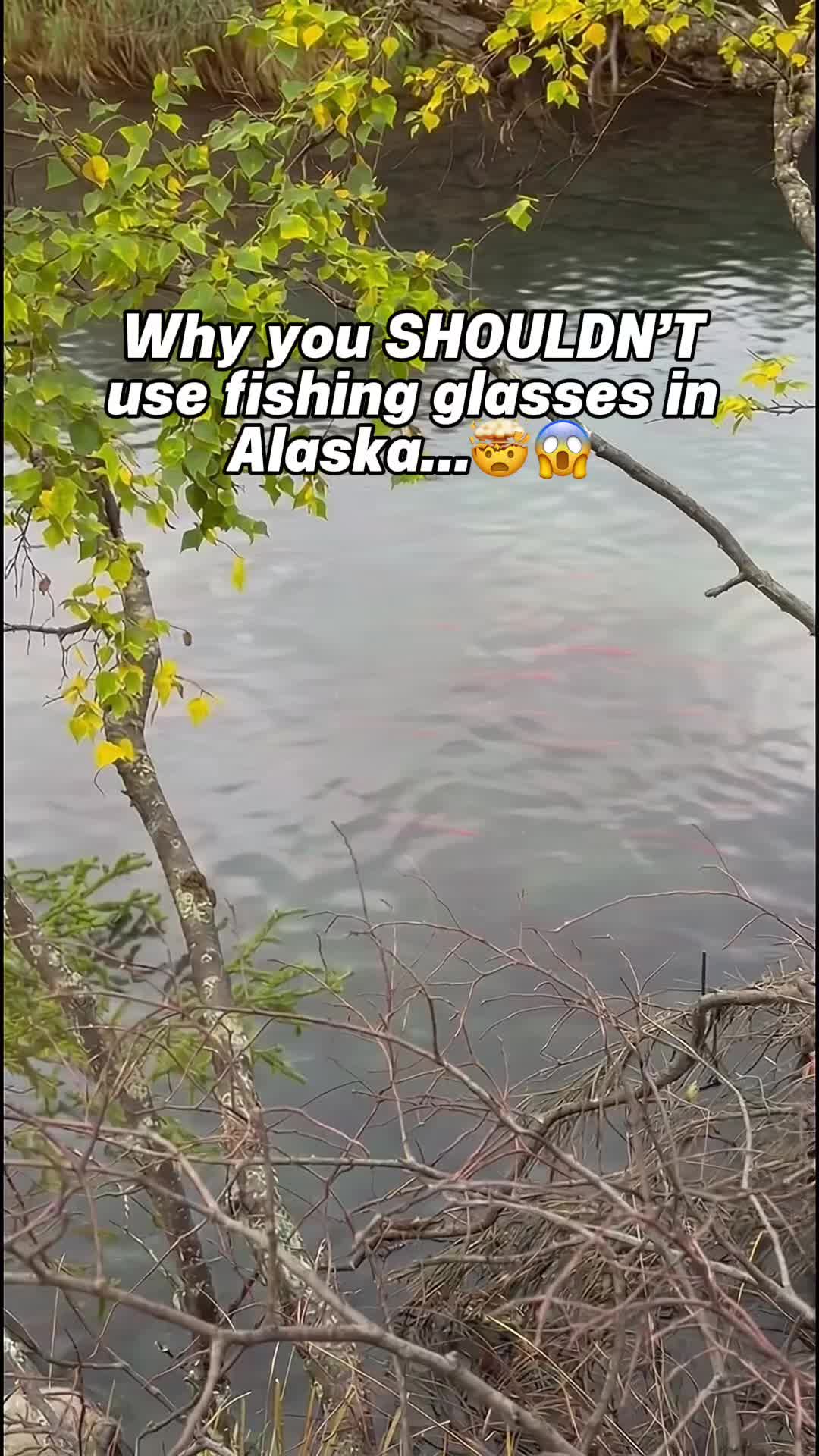 @AquaVision | Fishing | Eyewear