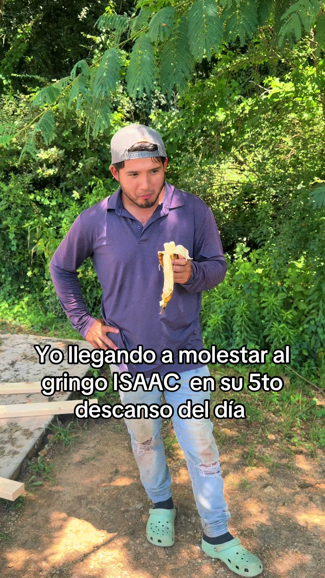 @T E O