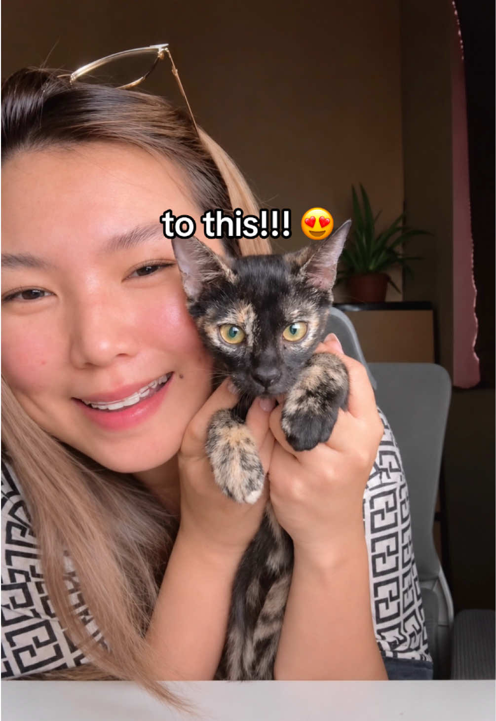 @cestyn