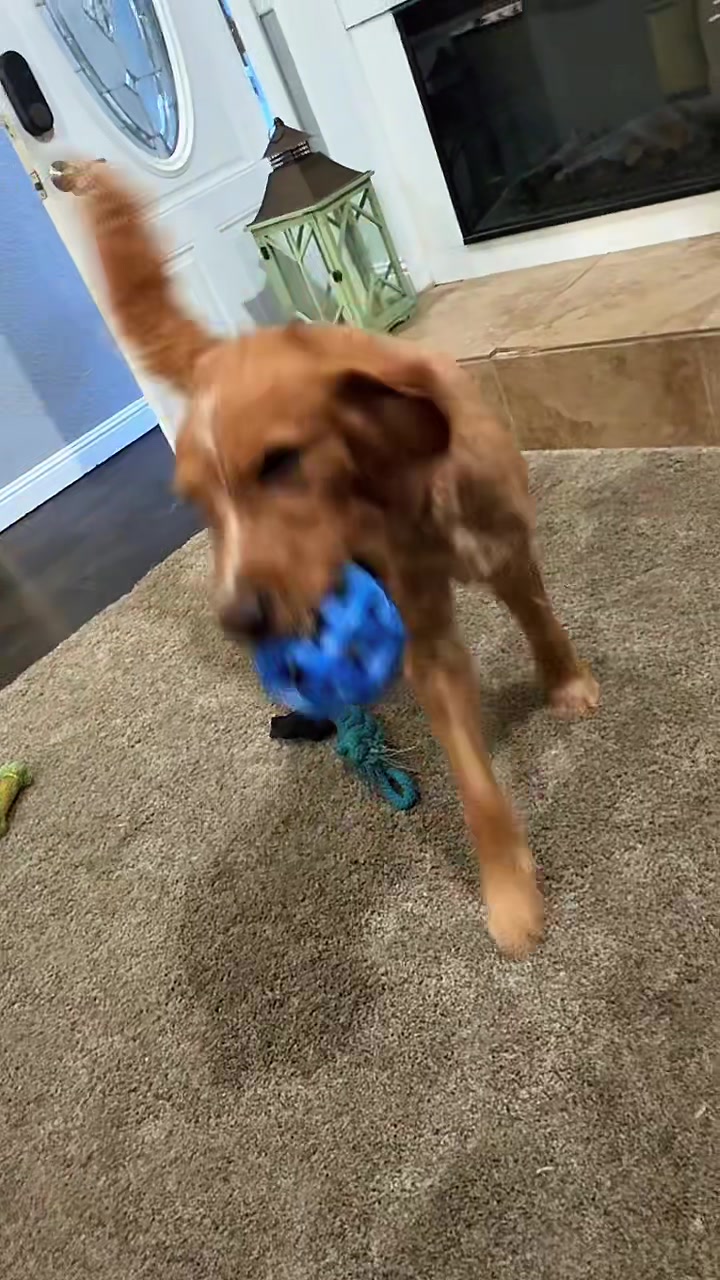 @heyitscrystaltoo