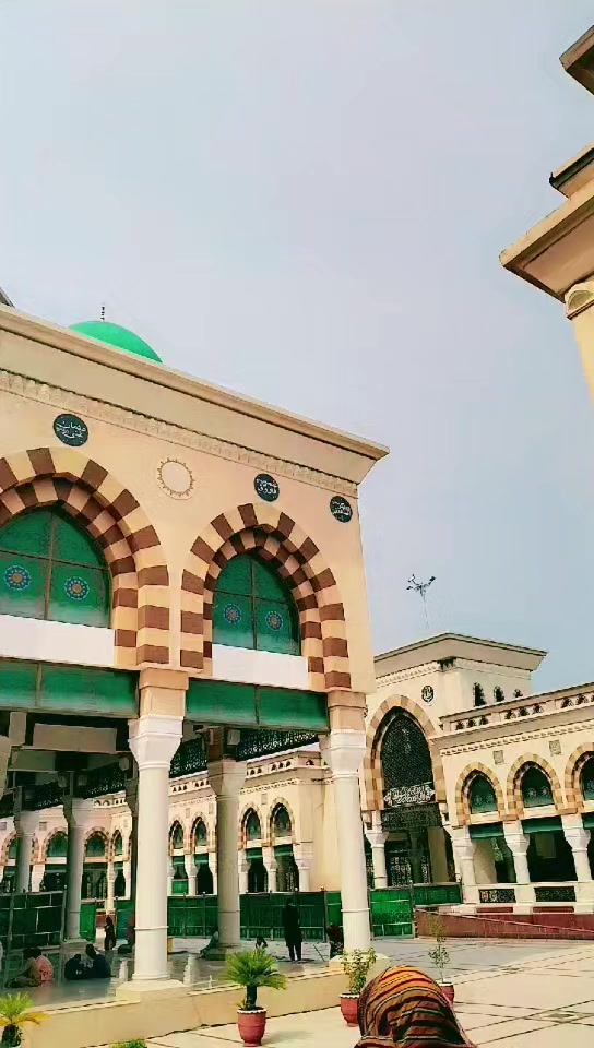 @03130519250