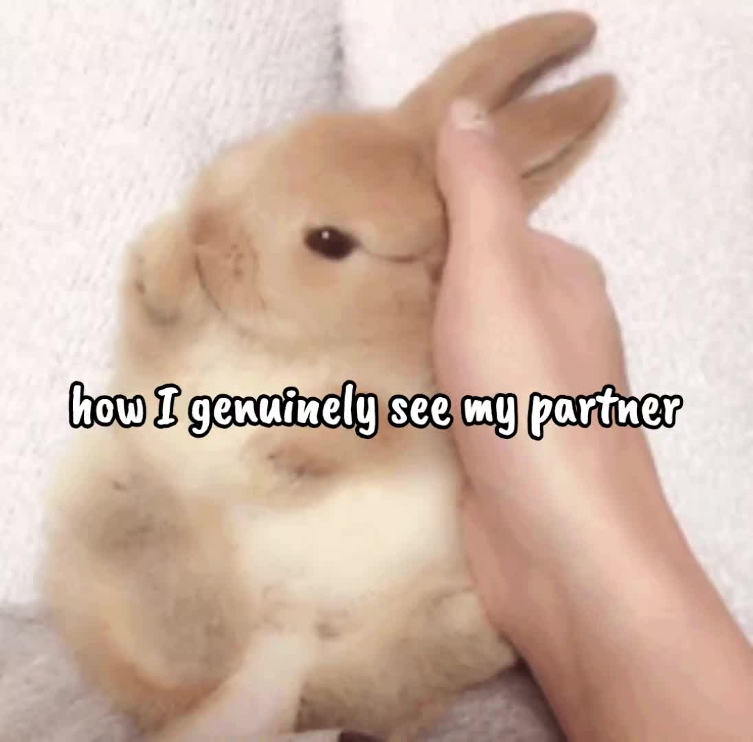 @ʀᴇx!!//ᴠᴏx'ꜱ ʜᴜꜱʙᴀɴᴅ ♡