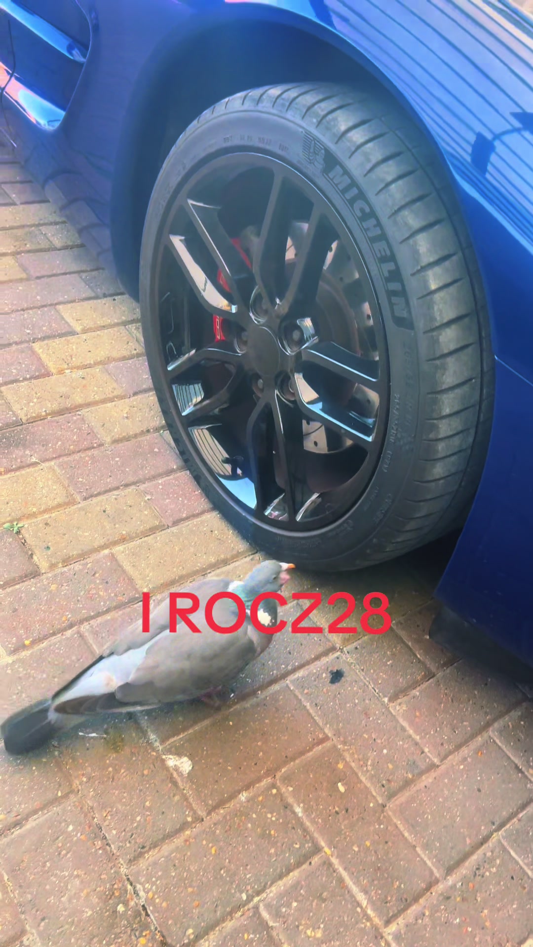 @IrocZ28