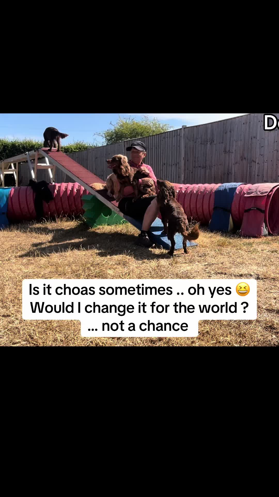 @Pipstar 🐕&zwj;🦺