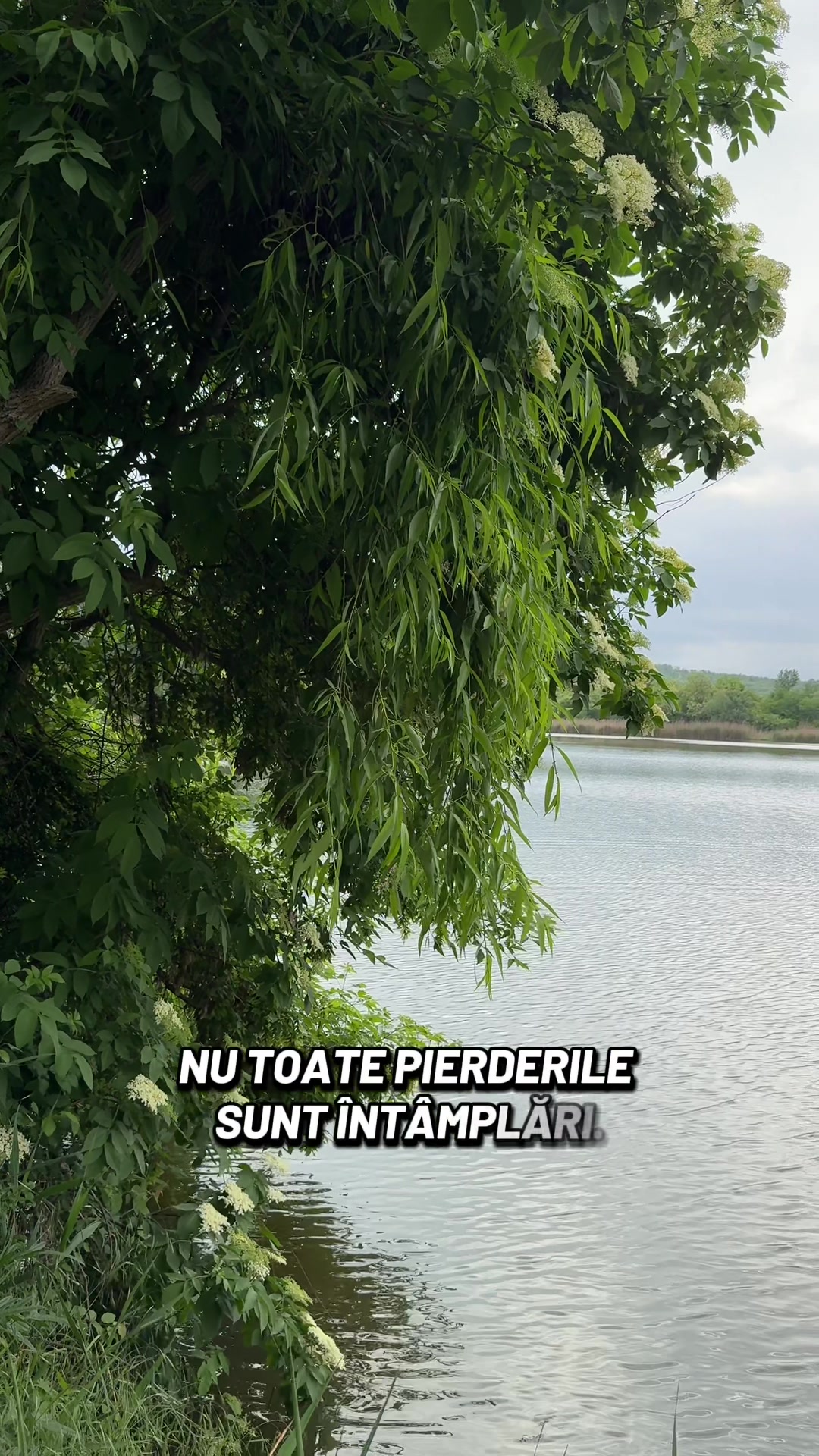 @Gânduri în cuvinte