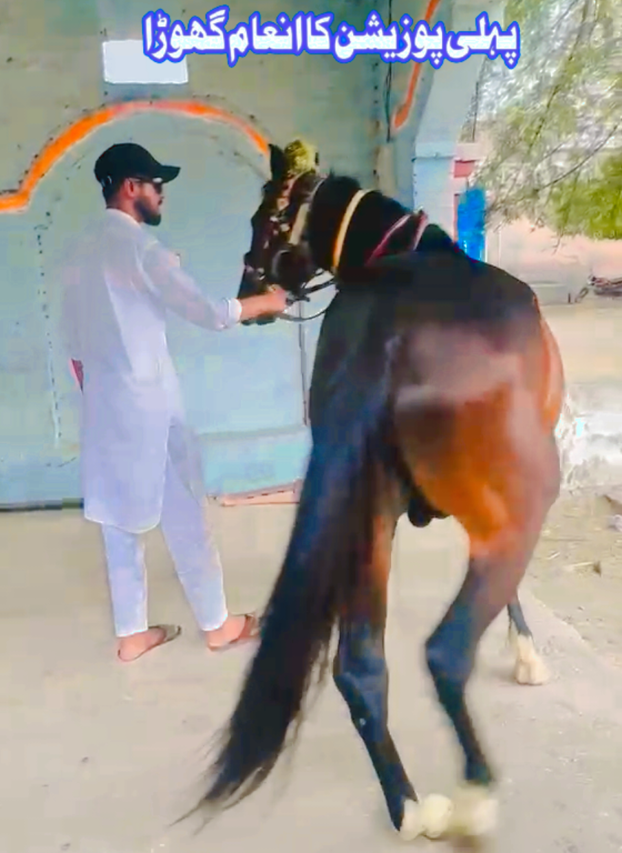@amrakalan5