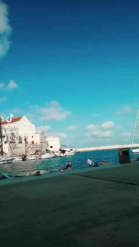 @Angelica D' Ambrosio