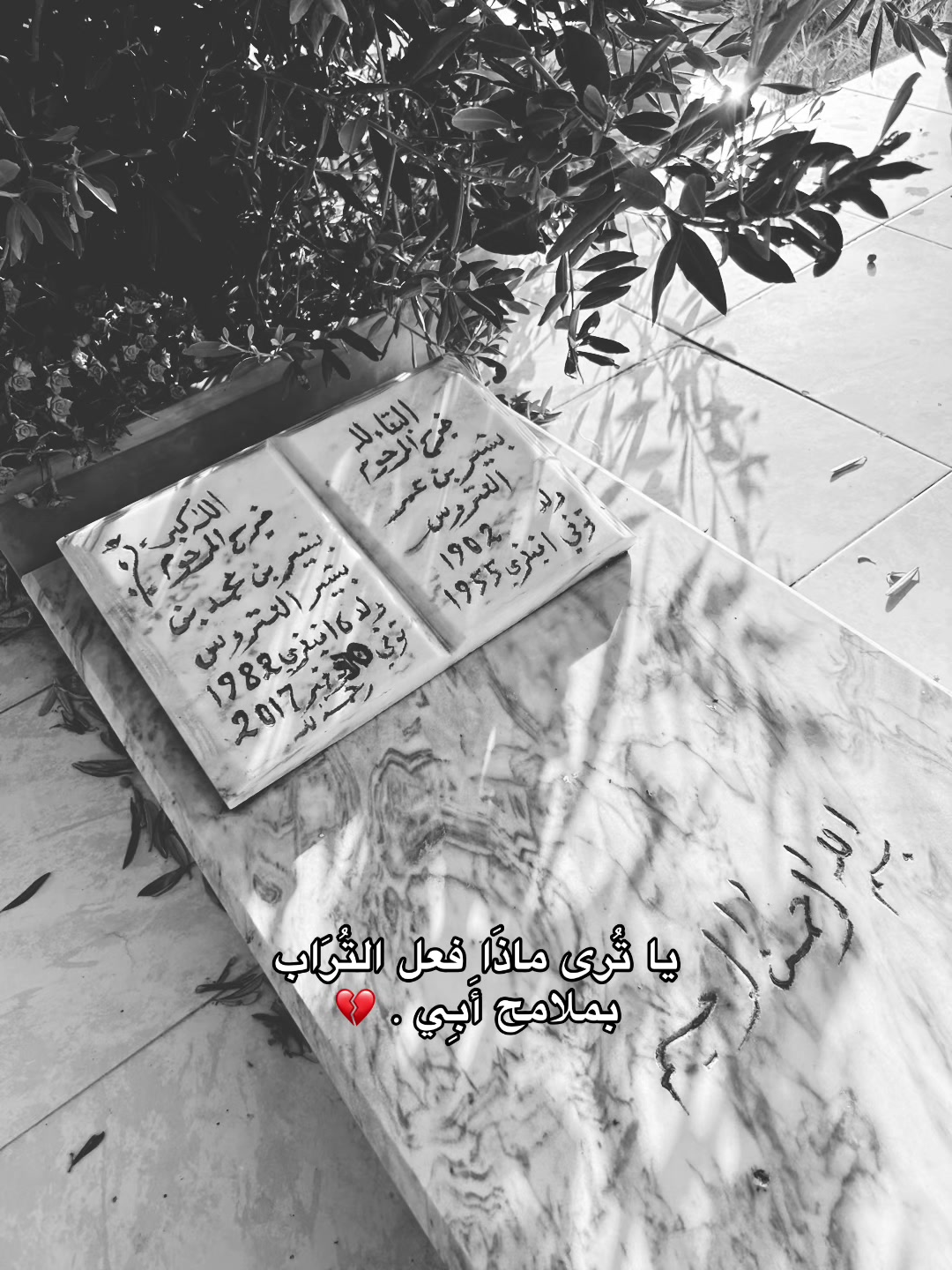 @Mimi_216🇹🇳
