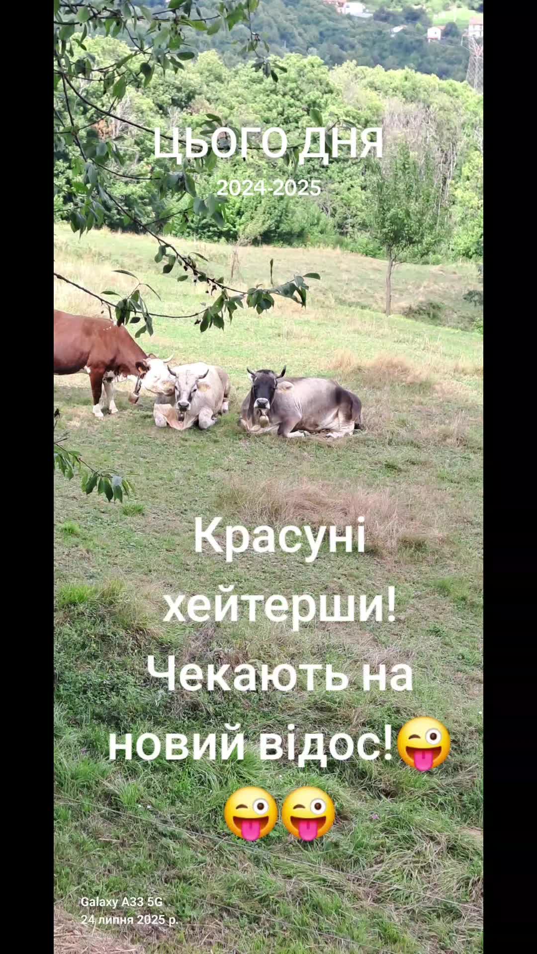 @💥💃🫠Колючка!!