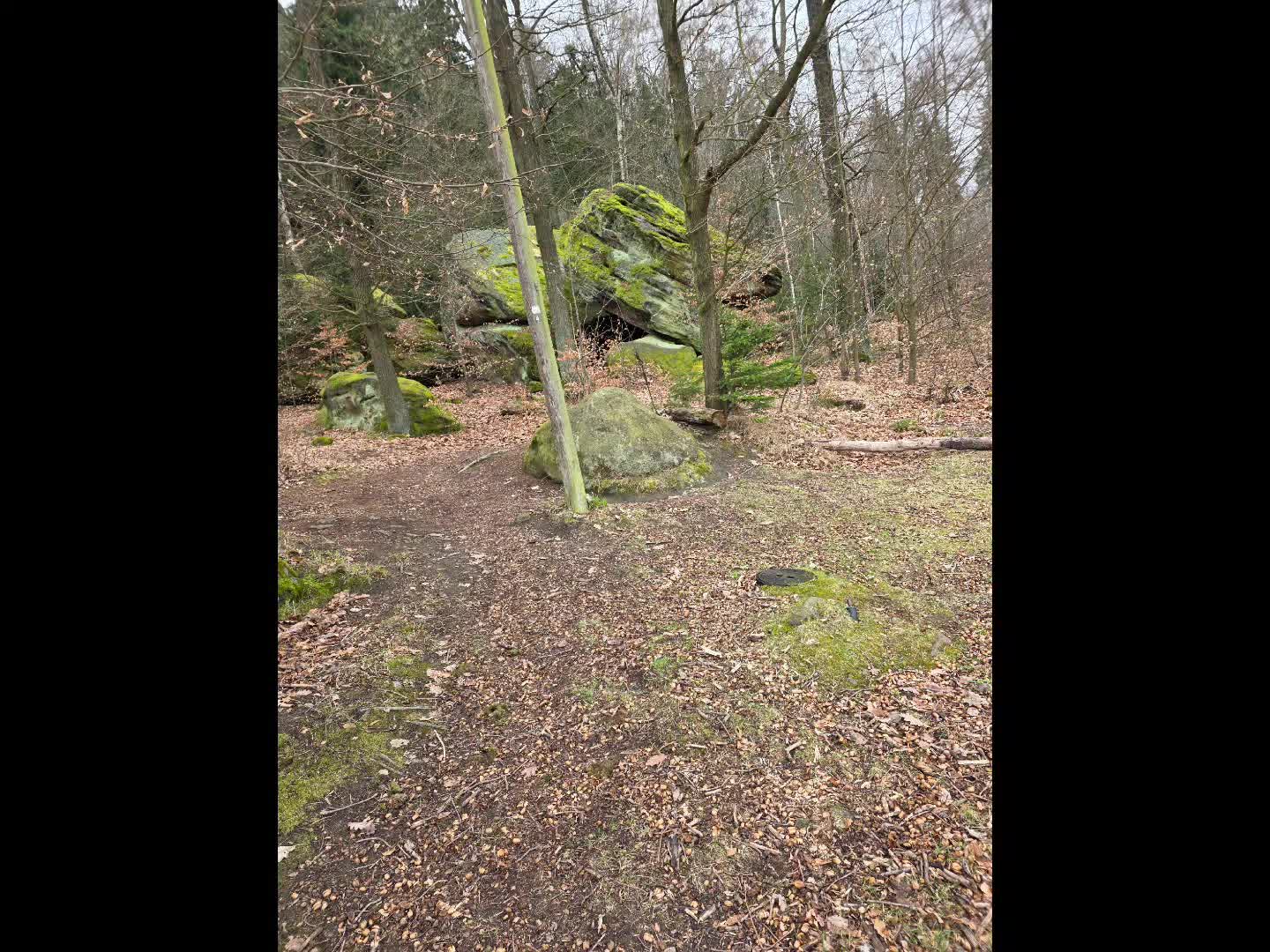 @💚⚔️🐺 Izzy 💚⚔️🐺