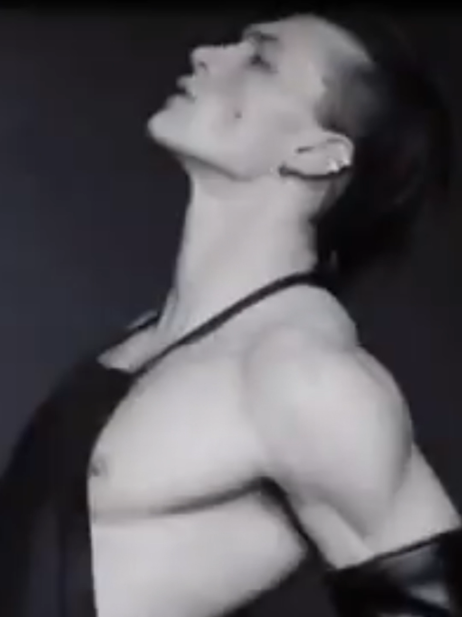 @catcatcat123