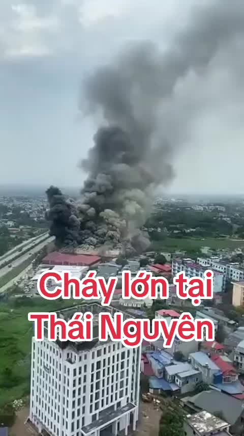 @Trai YB LC 🇻🇳