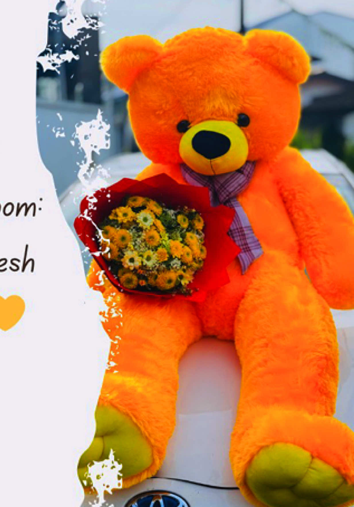@🎁_Everest_(pvt) Ltd_🎁
