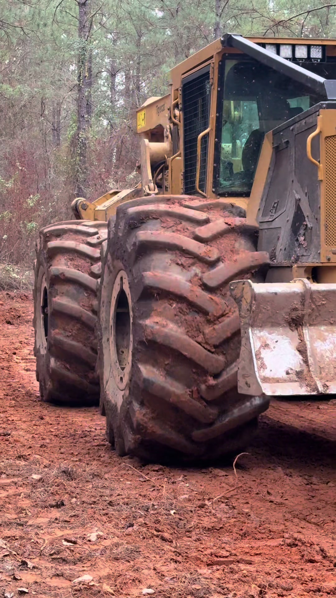 @Superior Forestry Solutions