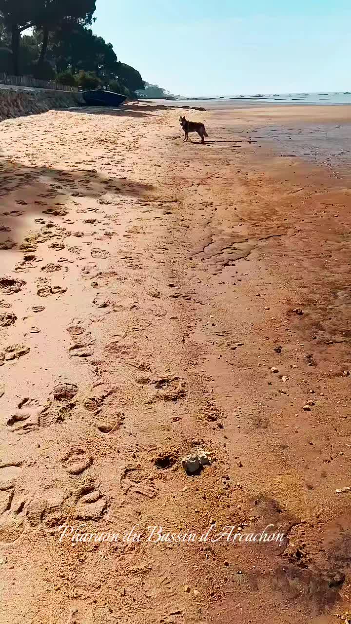 @Pharaon