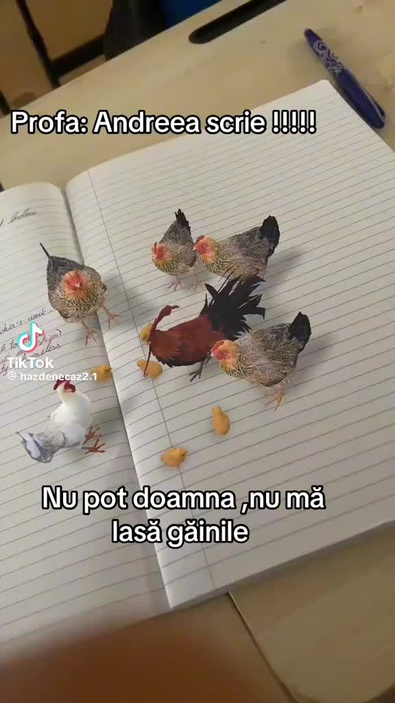 @Andreea Bădău