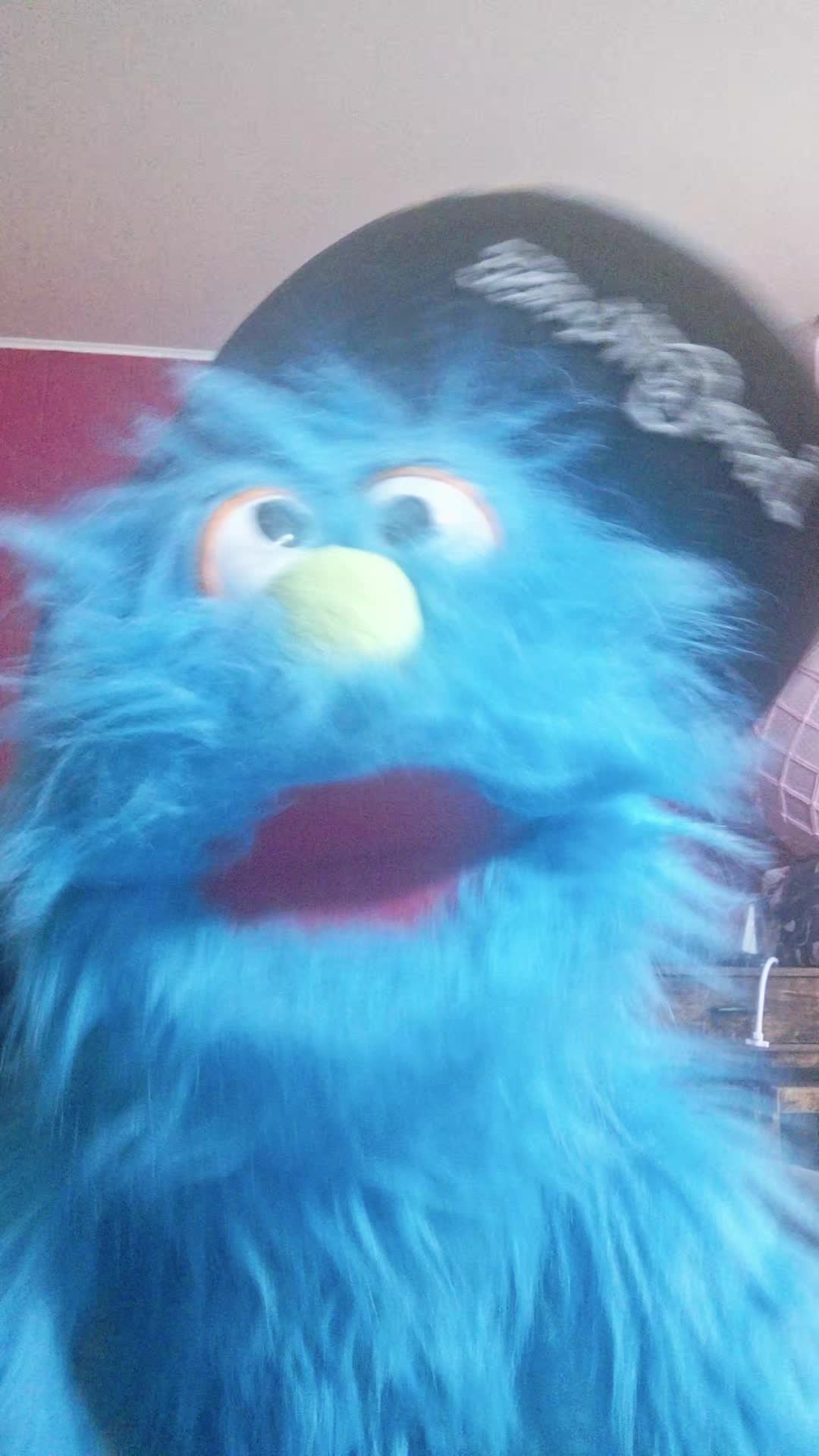 @🖤pickelrick/ juggalo Muppet💜