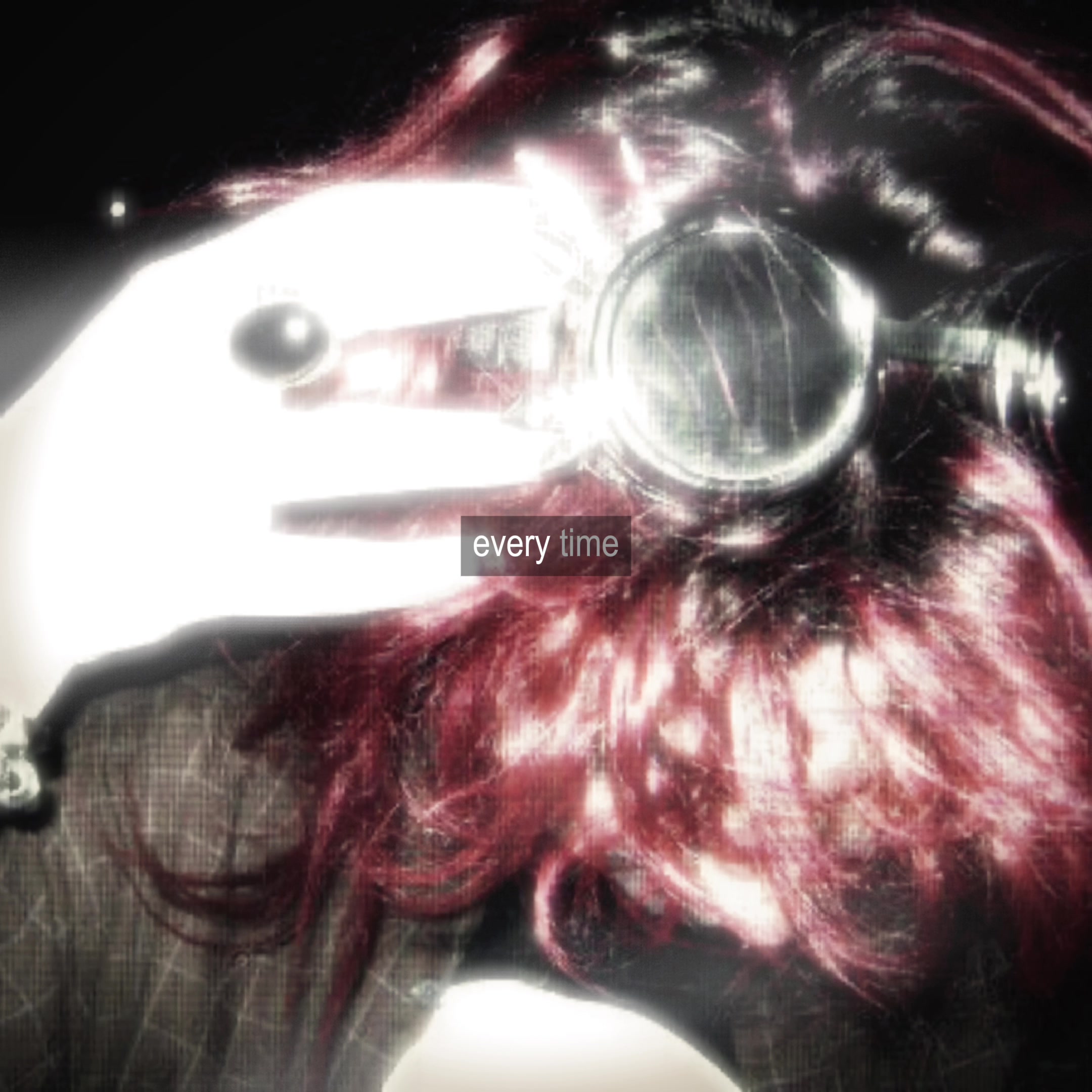 @‧₊ ᵎᵎ som &sdot; ˚ ⭑
