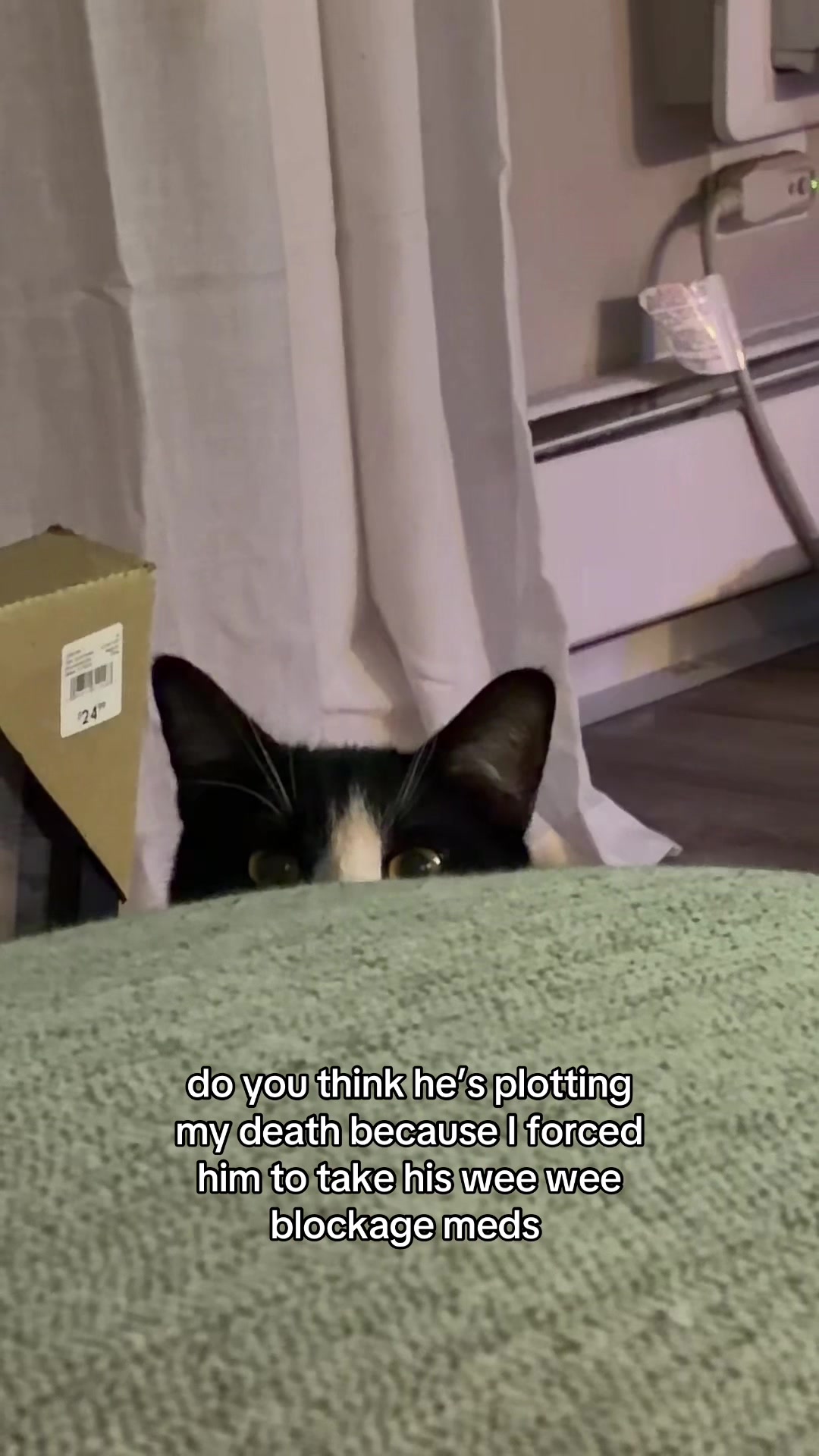 @olivia