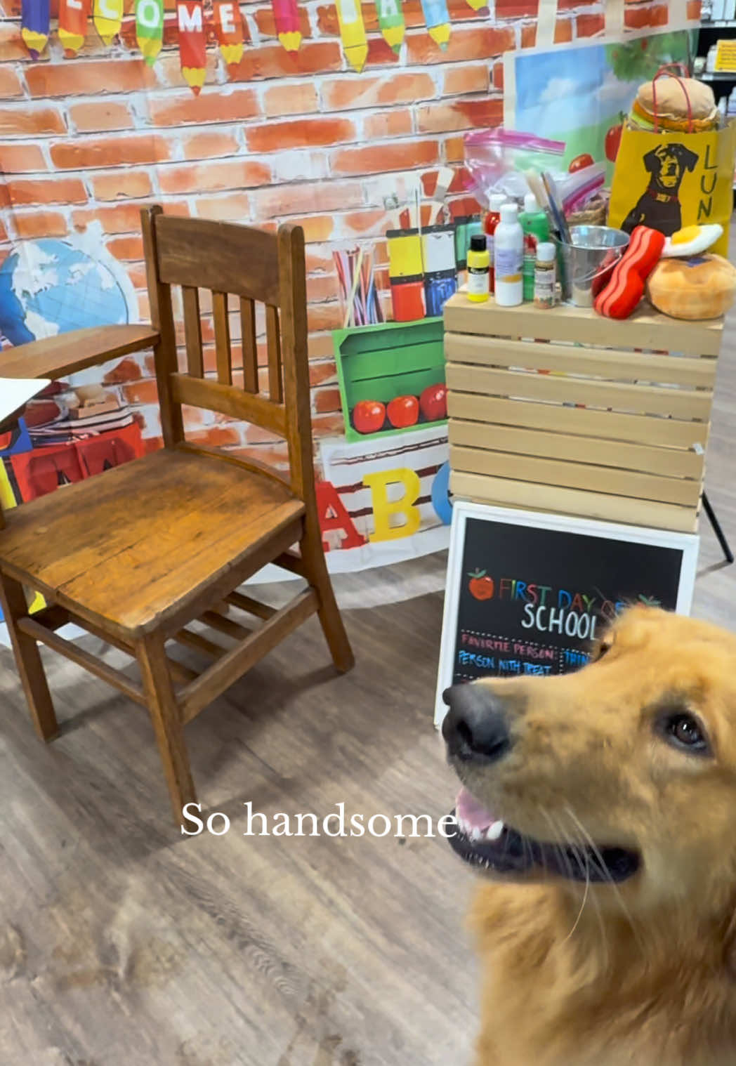 @Charlie the Golden