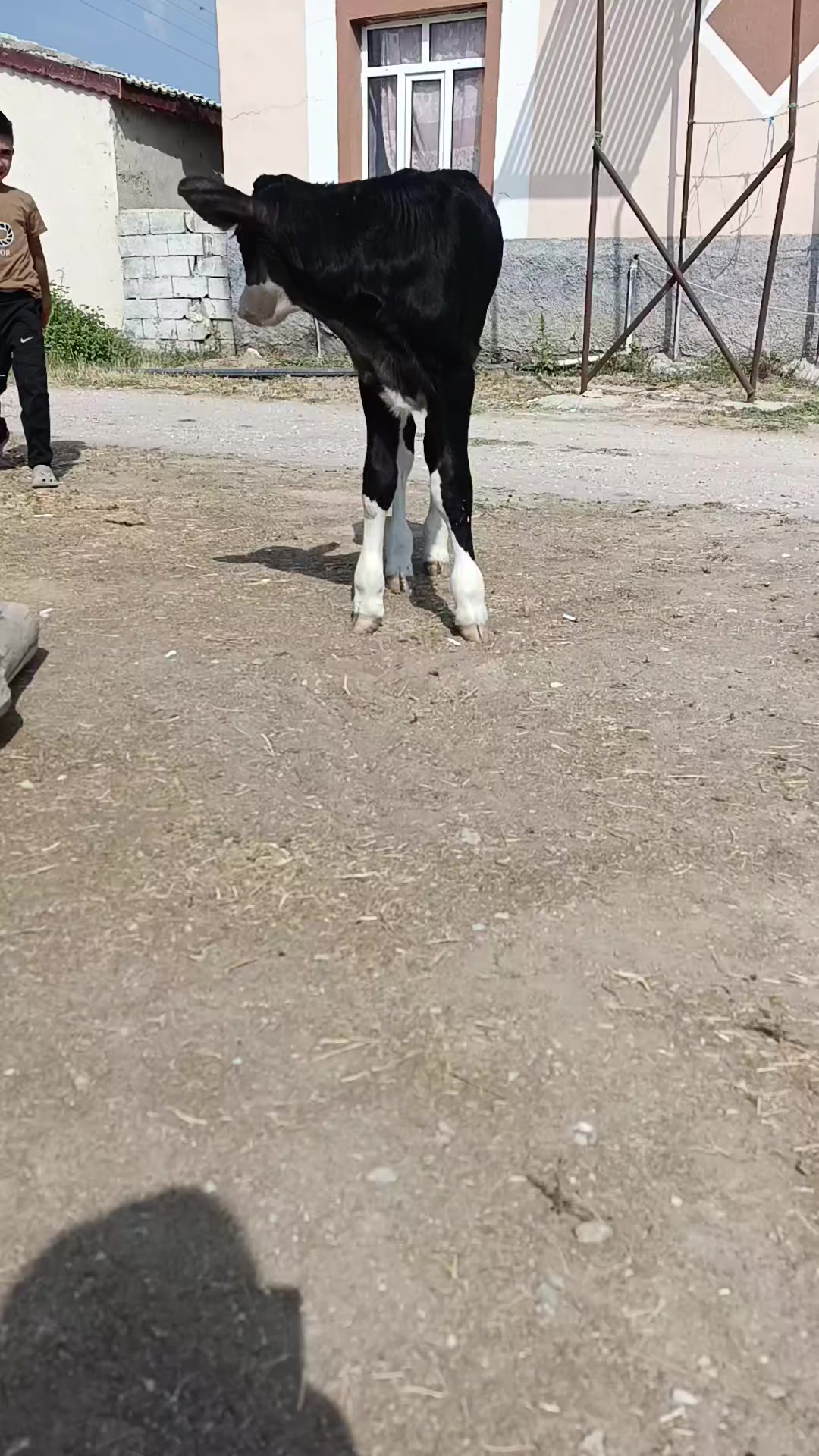 @Mehmet atılgan