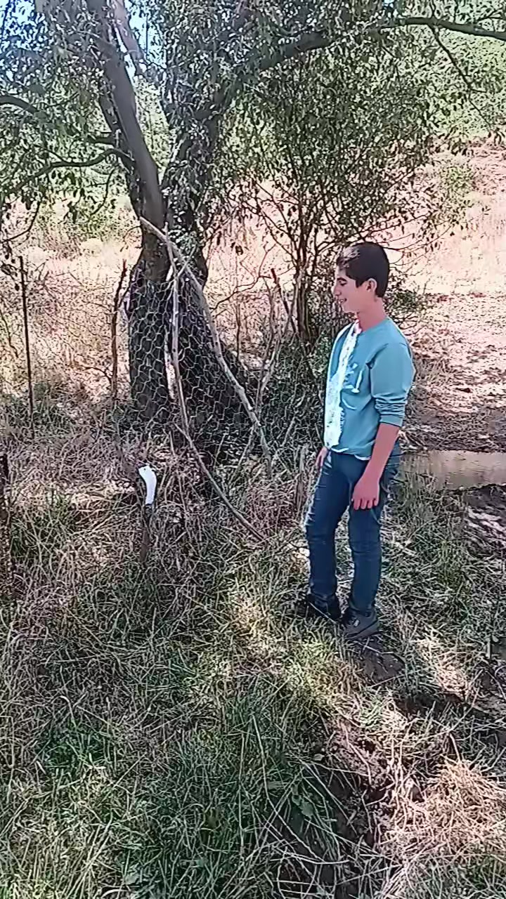 @Üveys Aykutalp