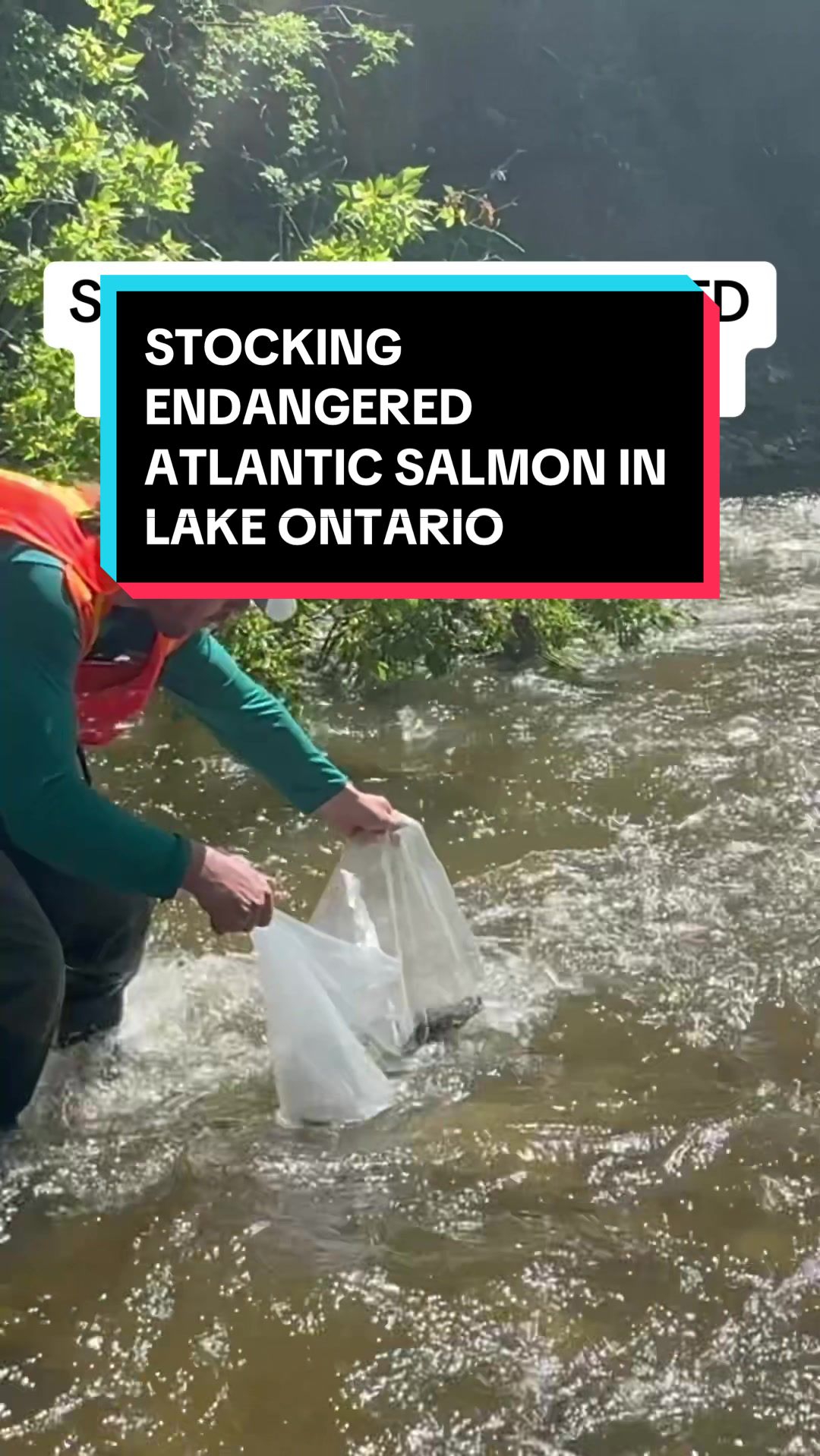 @Wild Ontario News