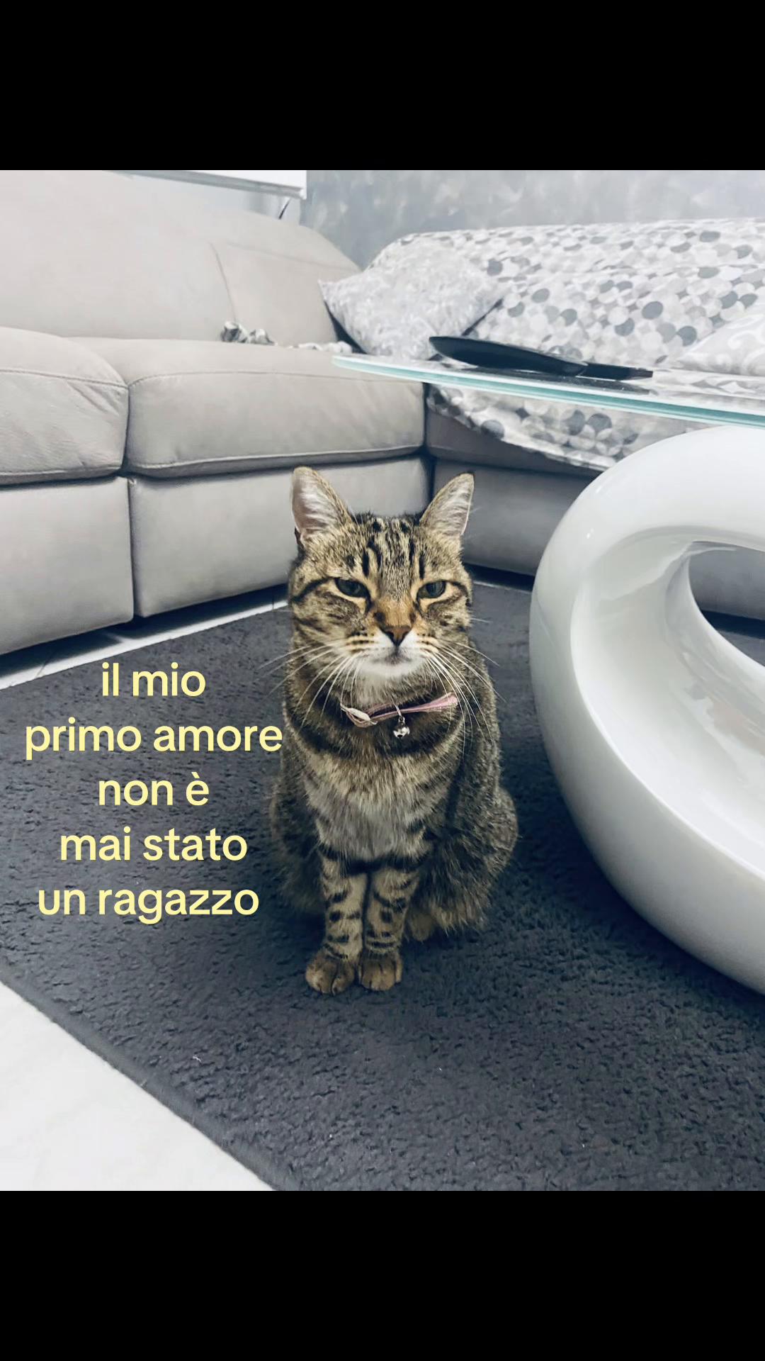 @noe_spamm10