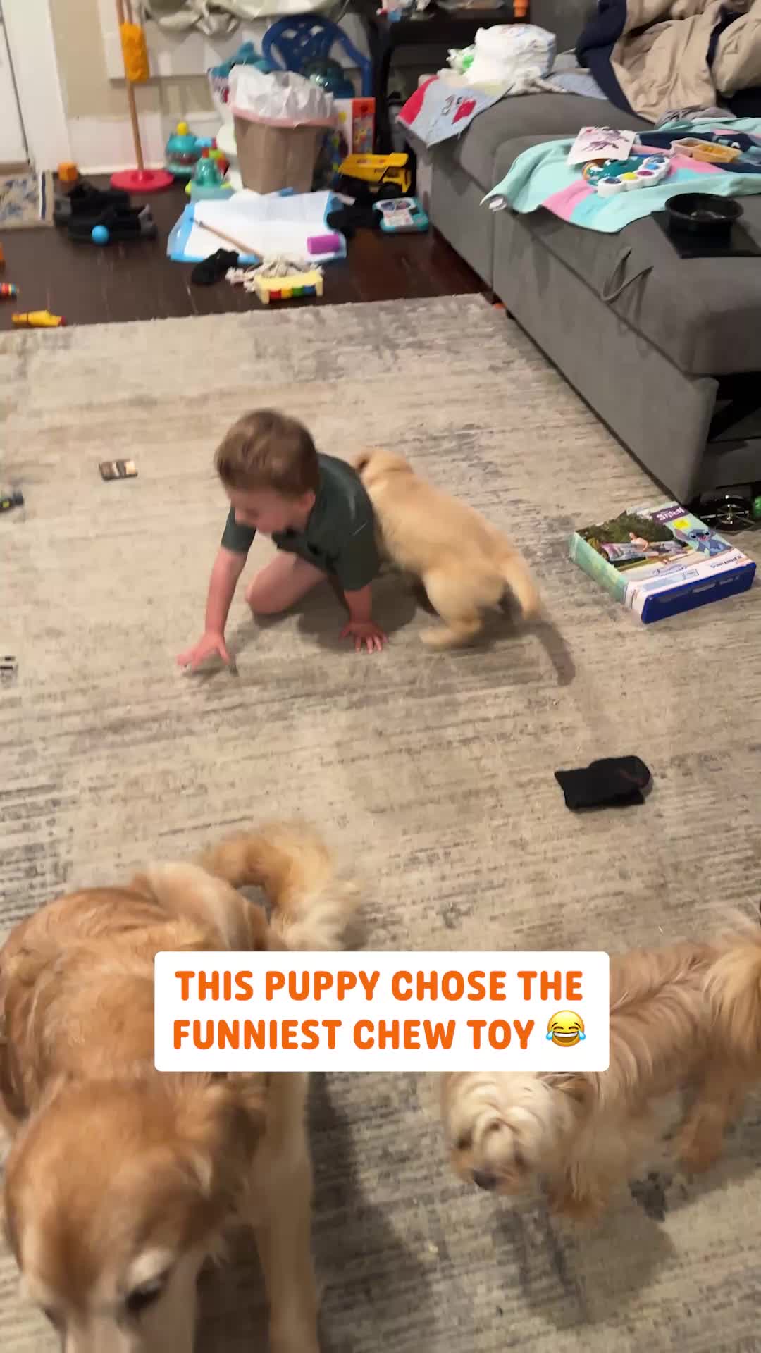 @Pawsome Pets