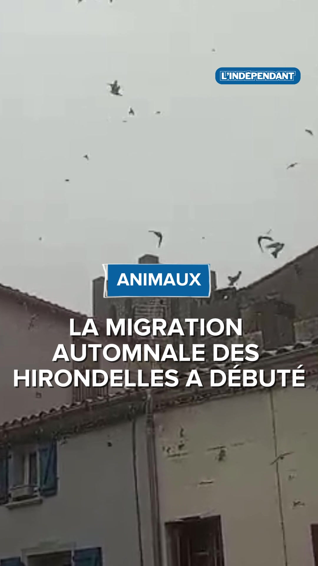 @L'Indépendant