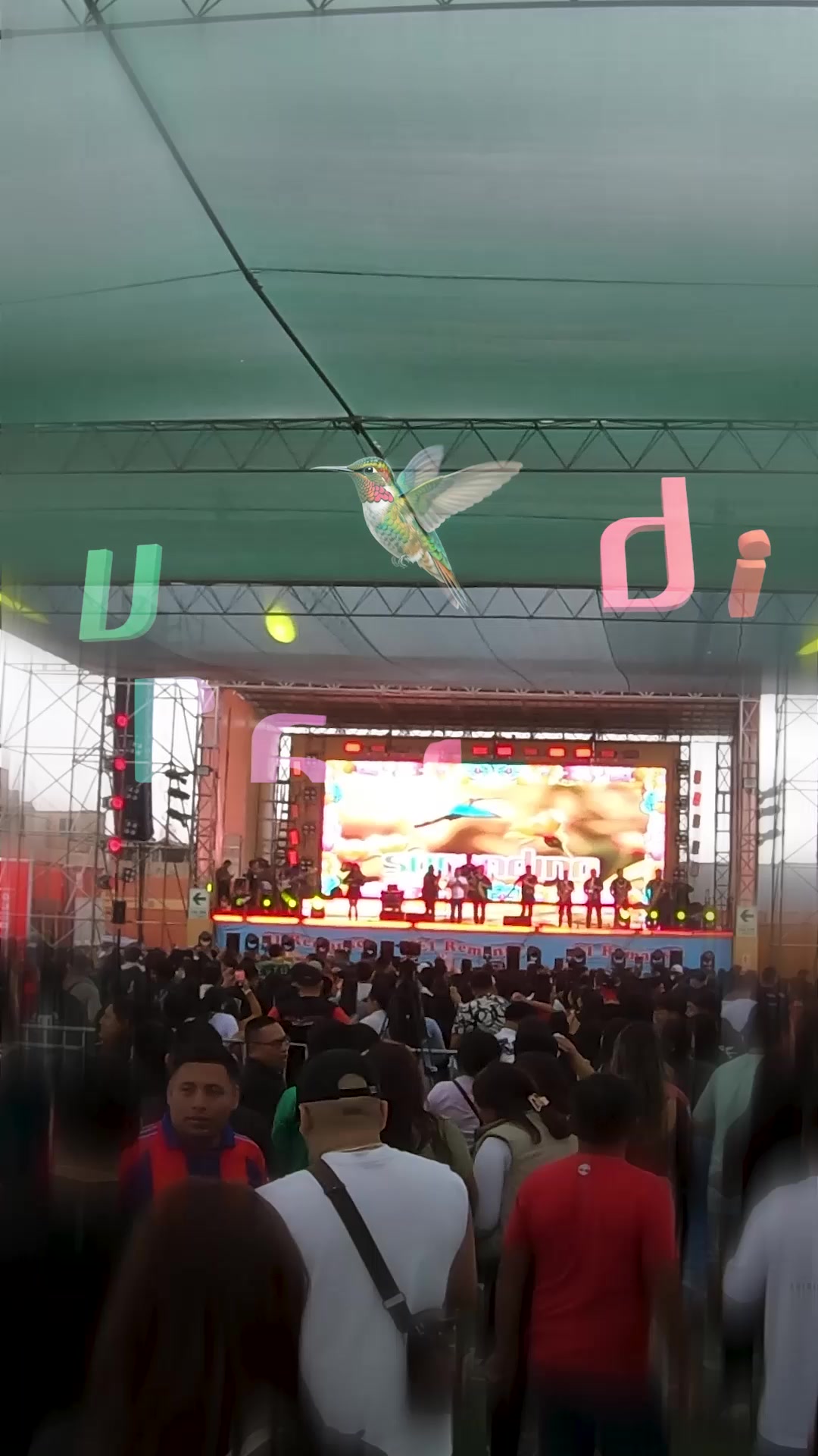 @Wilmer Lázaro 🎙️🎶