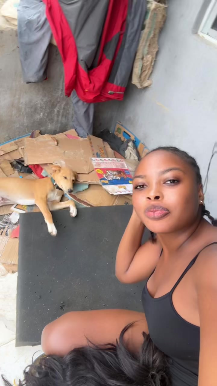 @Tizydiaryy🌬️💕🕊️📝