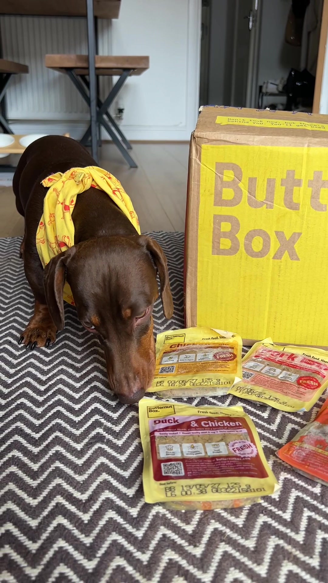 @sir_reggiethesausage