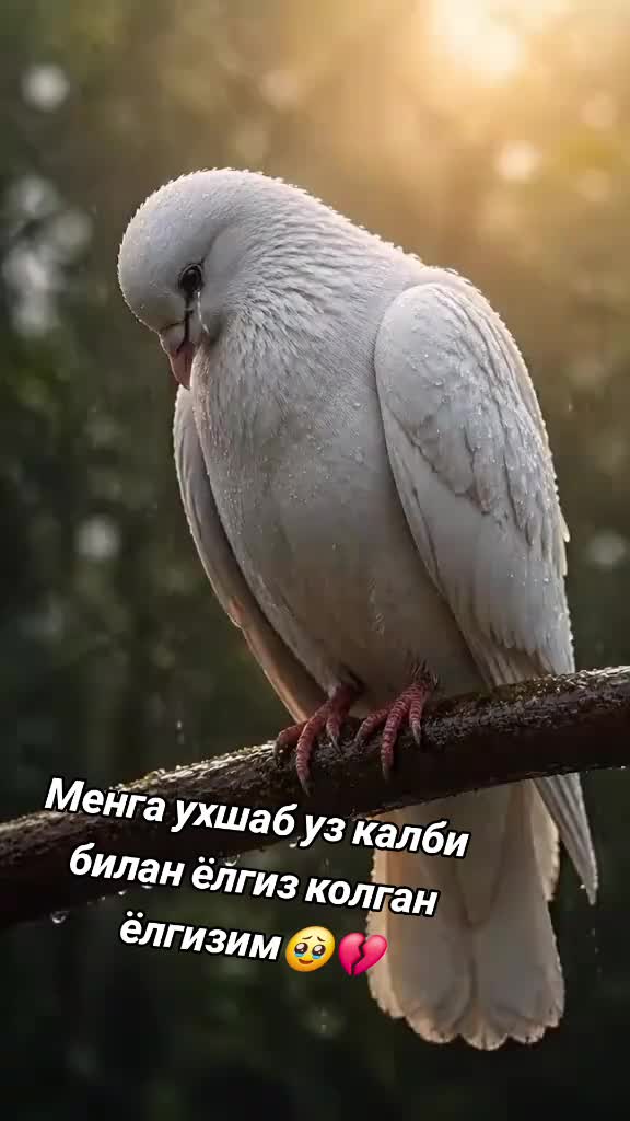 @🥀Сиз мени калбимдасиз 🥀