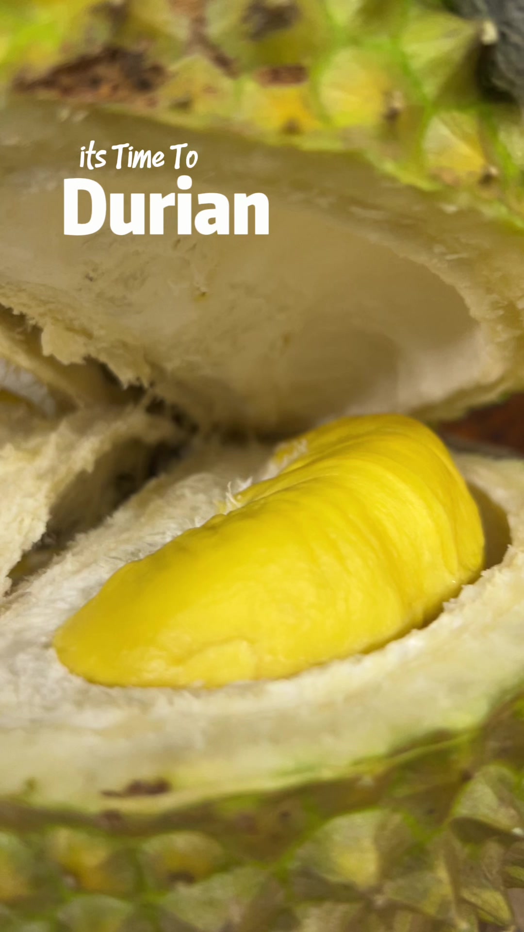 @Cicip Durian