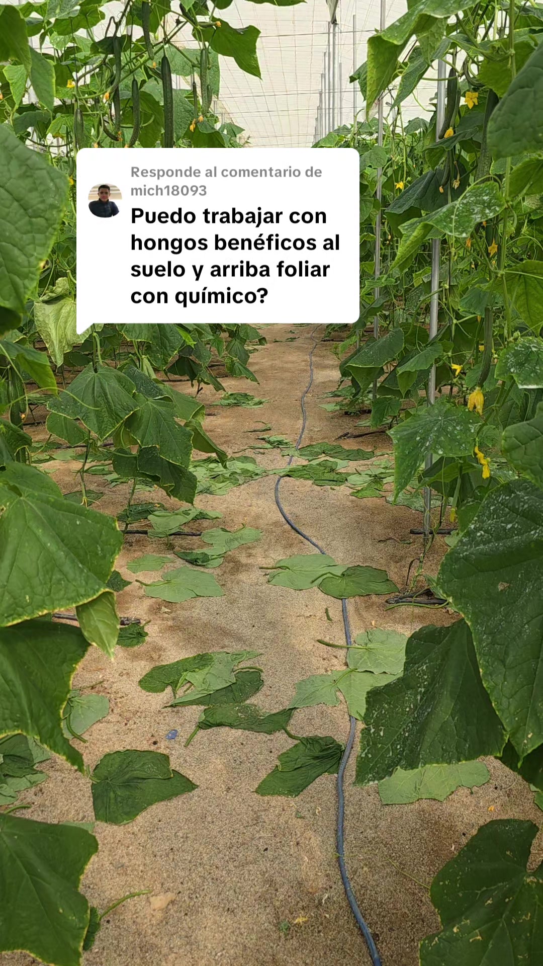 @El Extensionista del Agro