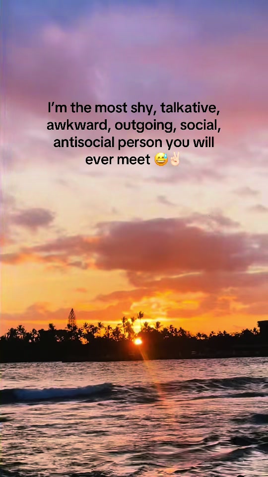 @🌅 Sunset Lori 🌅