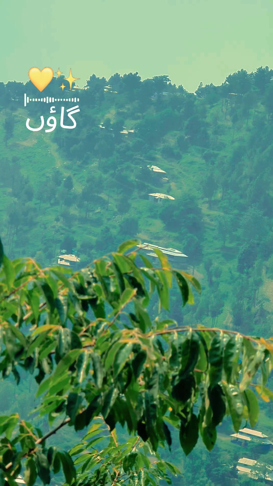 @💔اسامہ گجرکشمیـͫــͣــͥــری❣️