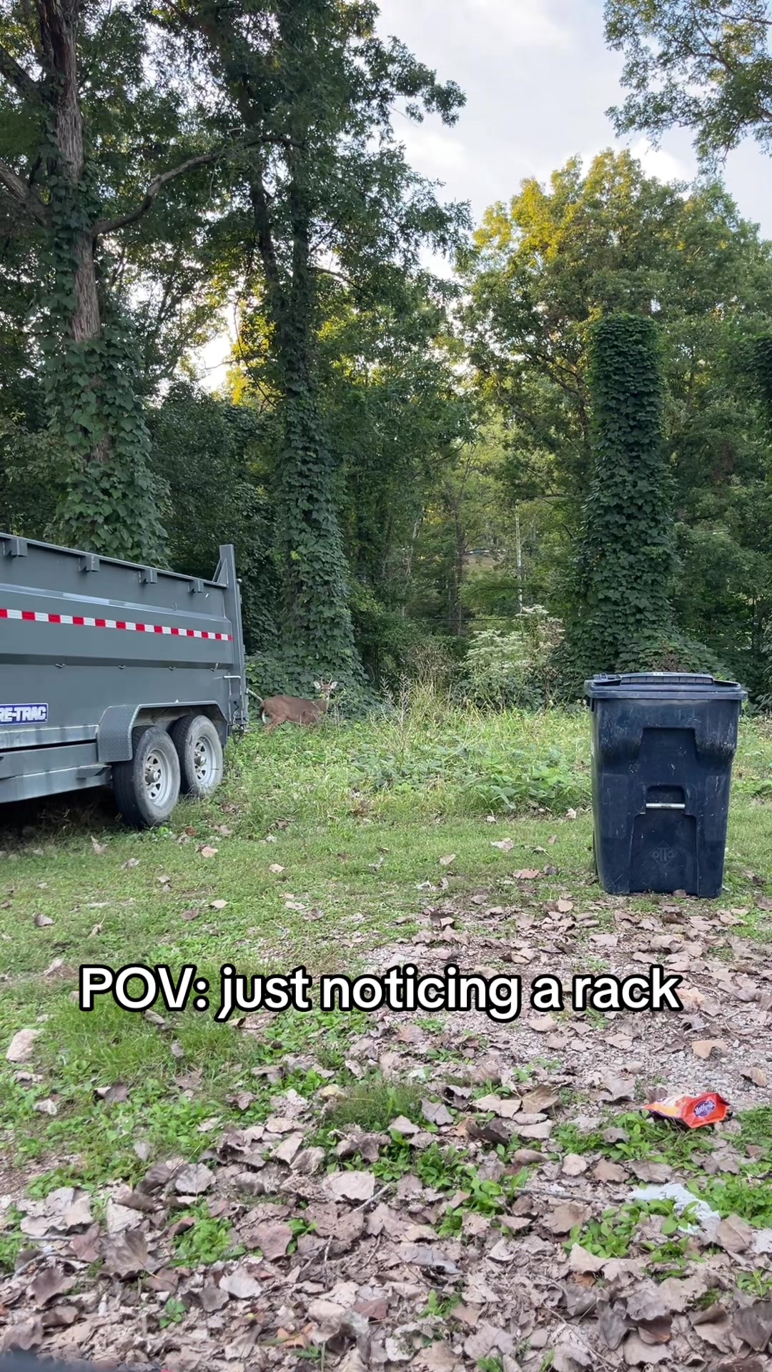 @Marley