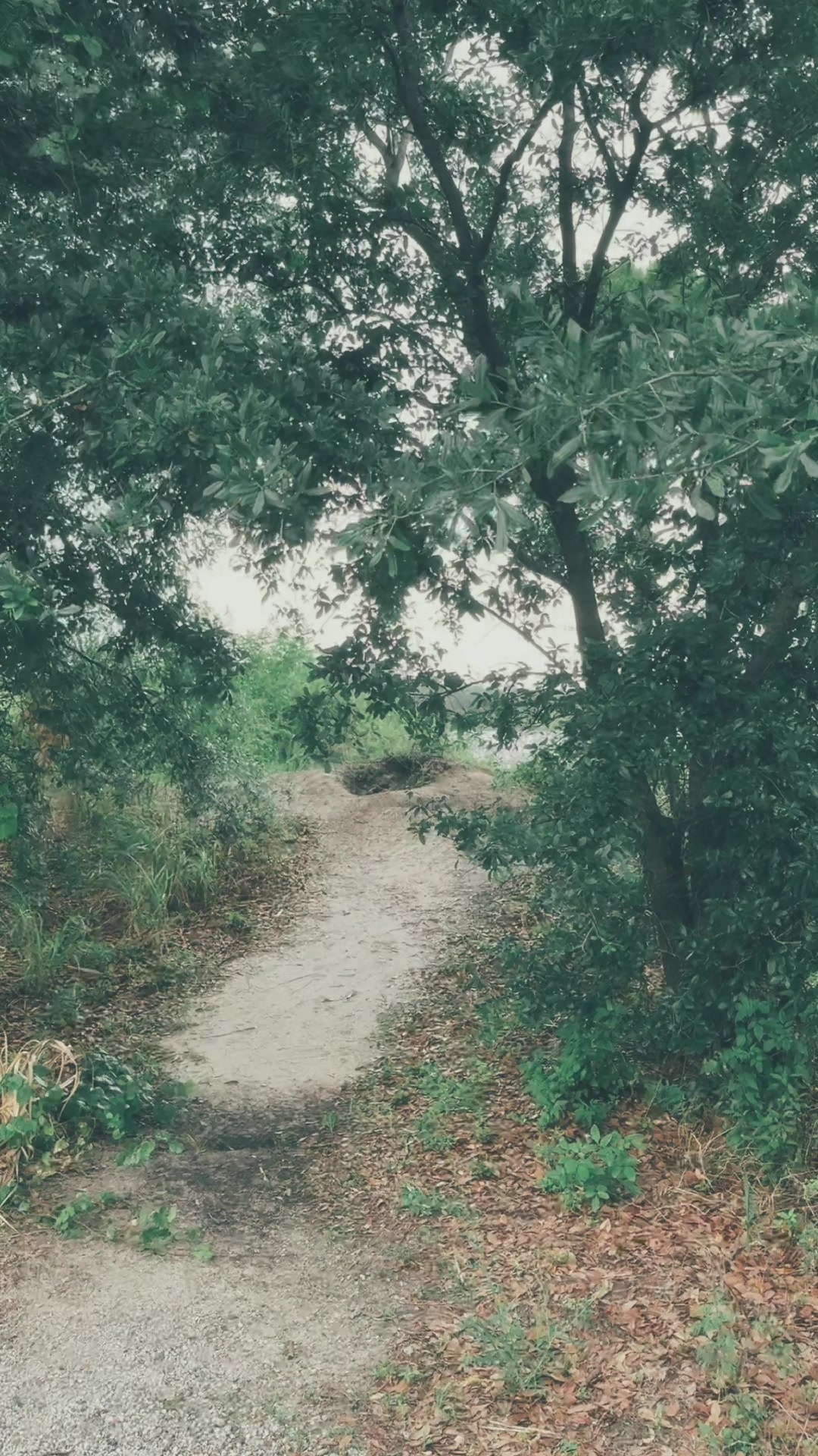 @lonely_runners_club