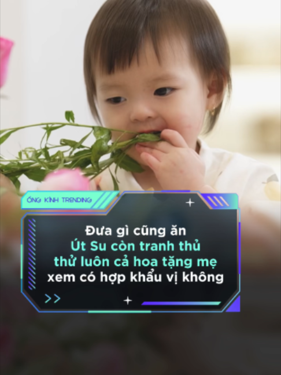 @ỐNG K&Iacute;NH TRENDING