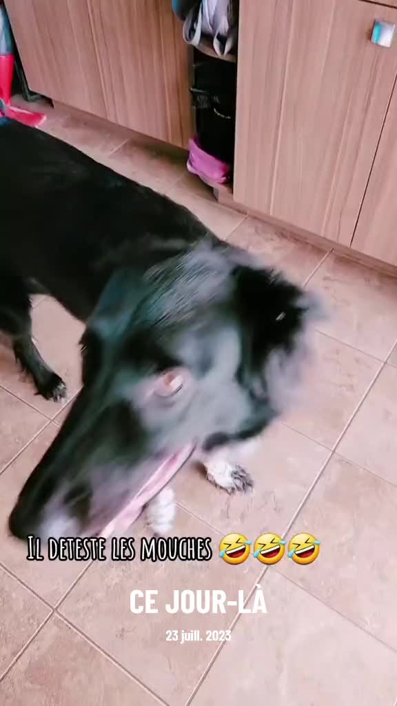 @๐๐ข๐ด๐ข๐ฉ ๐ฆ ๐๐ฒ๐ฉ๐ฆ๐ข