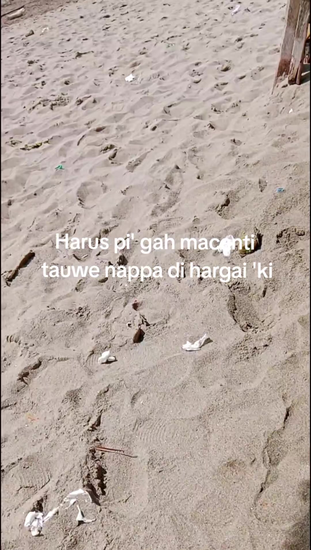 @SK FAMILY⚡