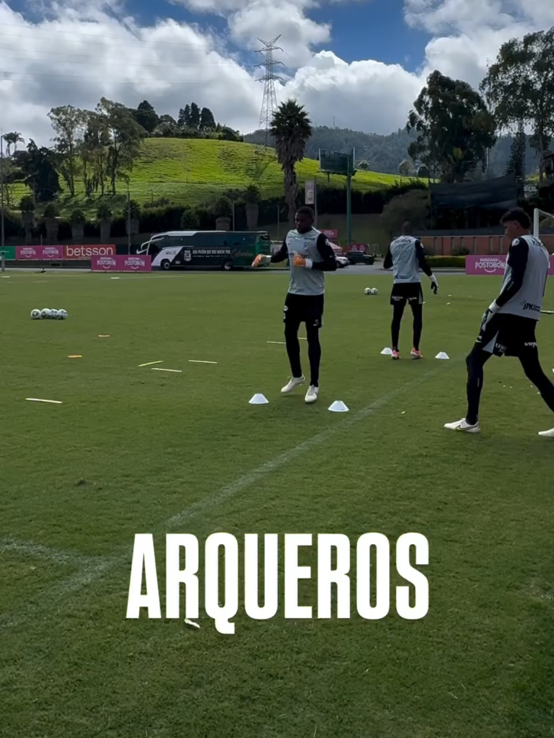 @NOTICIAS DEL VERDE