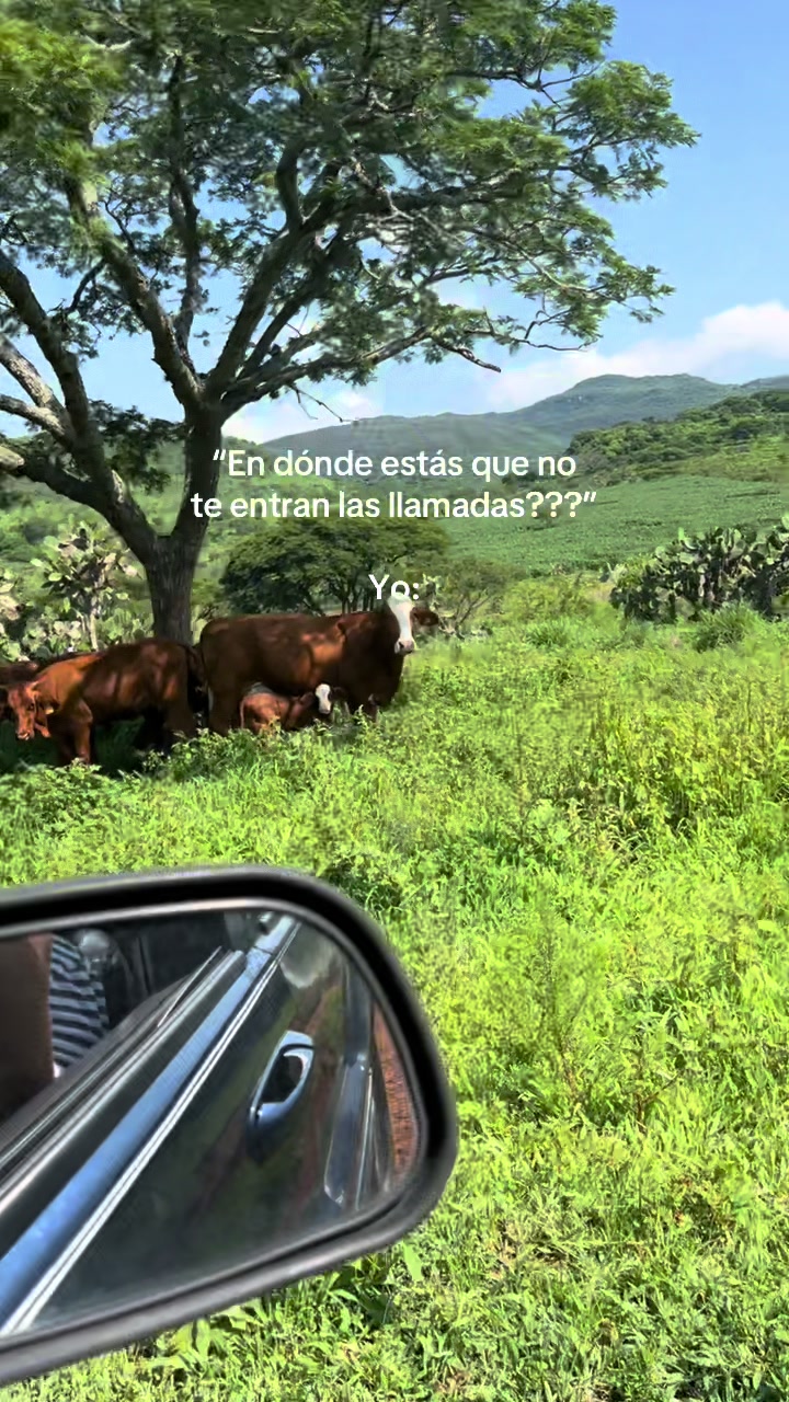 @Nancy Arevalo