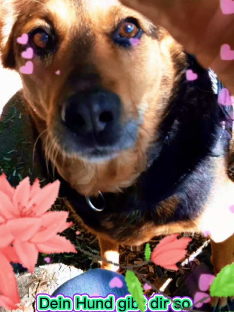 @tiktok.omimoni