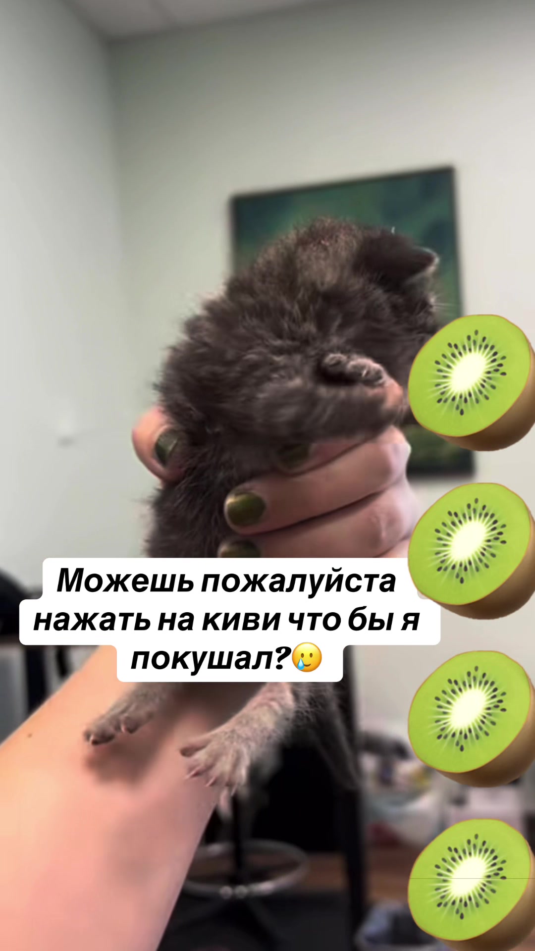 @kaboompriut